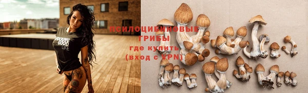 таблы Бородино