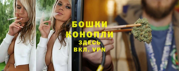 таблы Бородино