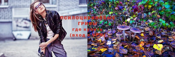 ГАЛЛЮЦИНОГЕННЫЕ ГРИБЫ Бугульма