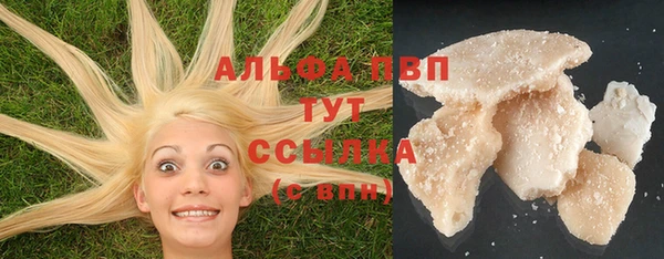 таблы Бородино