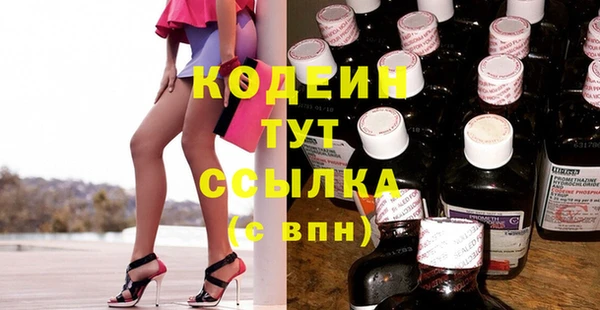 таблы Бородино
