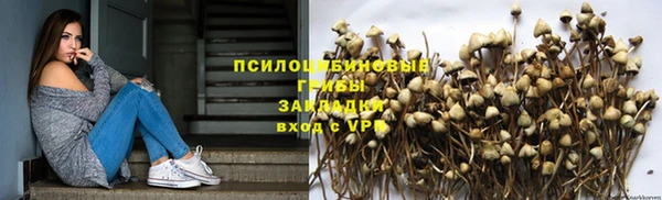 таблы Бородино