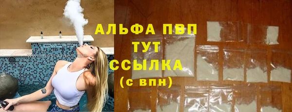 таблы Бородино