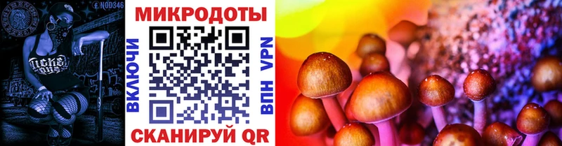 Купить где  Гдов  Псилоцибиновые грибы ЛСД 