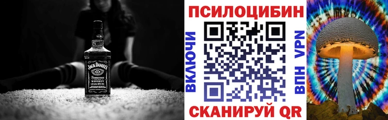 Псилоцибиновые грибы Psilocybe Гдов